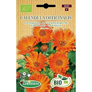 Germisem ECBIO1193 Organisch Calendula Officinalis Goudsbloem Zaden 2 g