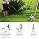 Ausziehbare Leine für Hunde,Rollleine Hundeleine 5m,Leine Hundeleine Einziehbar,Hundeleine für Hunde,Hundeleine Ausziehbar mit Griff,Dog Leash,Verhedderungsfreie Ausziehbare Hundeleine (Rosa)