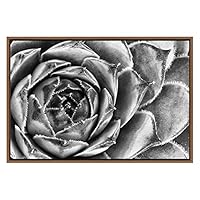 SIGNWIN Framed Canvas Wall Art Houseleek Petal Pattern Botanical Succulent Photography Minimalism Contemporary Closeup Dramatic Black and White for Living Room, Bedroom, Office - 16