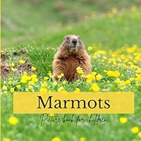 Marmots: Picture book for children B0D5B5ZTDJ Book Cover