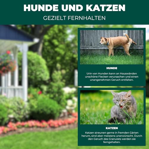 Silberkraft Hunde und Katzen EX Granulat 200g, Hund & Katze von deinem Grundstück fernhalten, Hundeabwehr & Katzenvertreiber, Alternative zu Sprays, Gittern oder Ultraschallgeräten