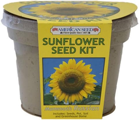 ALLWAY Tool SPMR6 Russian Sunflower Kit