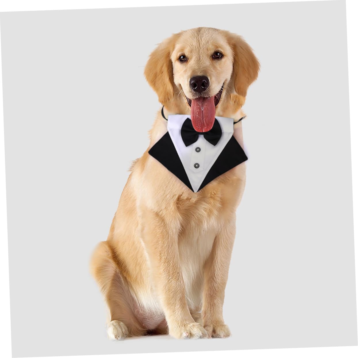 BESPORTBLE 3ensembles Bandana Triangulaire Adorable pour Chien Écharpe De Mode Accessoire Pratique pour Et Style Élégant avec Nœud