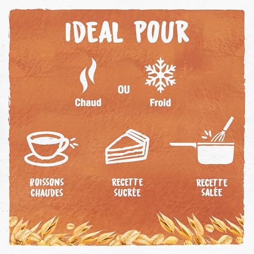 Boisson Végétale Bio Lait D'avoine Vanille Bjorg La Brique De - vue 9