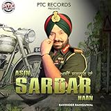 asino sardo caratteristiche  Asin Sardar Haan
