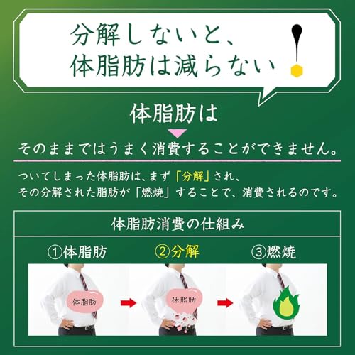 Té verde premium Iyemon Tokucha pack 10 botellas 500ml miniatura 5