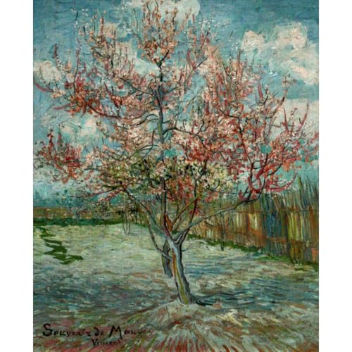 Impression sur toile Van Gogh Souvenir de Mauve 61x45.7cm décoration murale chambre