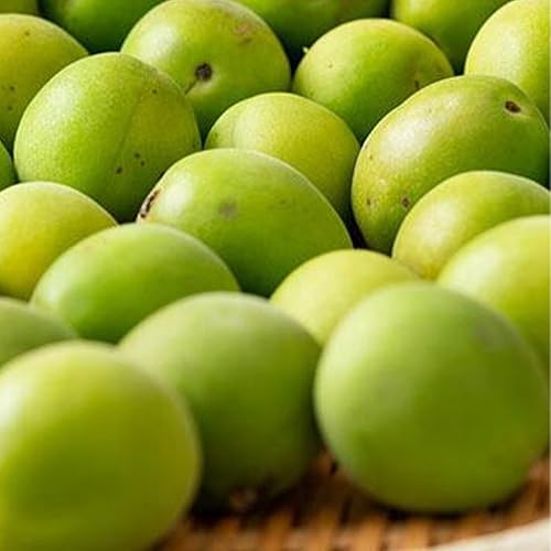 [先行予約]紀州特産 冷凍南高梅 3kg 梅ジュースに最適!