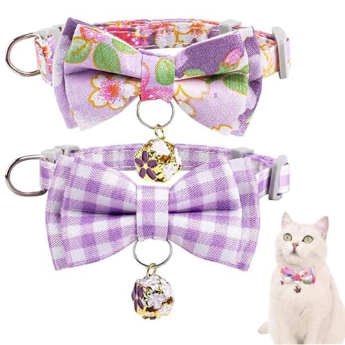 L   2_Zbg O\ a lN^C sN p[v