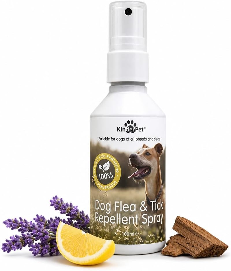 – Eco Dog Flea Treatment Tick Lice Mite Control Spray Kill Fleas And Eggs For The Home Safe Natural Effective Made in The UK 100ml