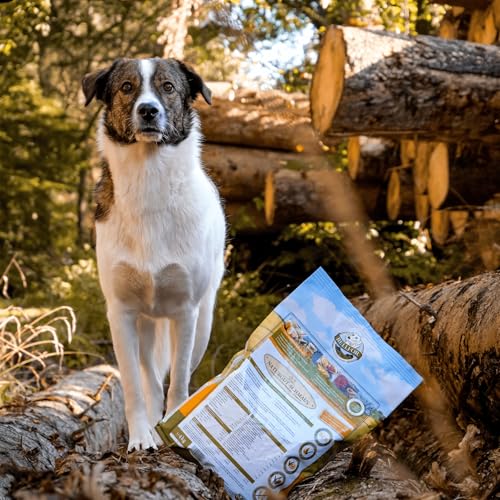 Bellfor Naturgut-Schmaus Hochwertiges Kaltgepresstes Hypoallergenes Trockenfutter für Hunde mit Insekten Getreidefrei Optimal für Ernährungssensible Hunde (4 kg)