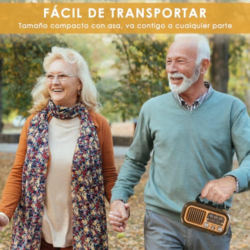 Dj E Iluminación, Electronics radio fm am Marca GMK (3)