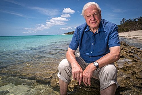 David Attenborough: Great Barrier Reef (3 Dvd)