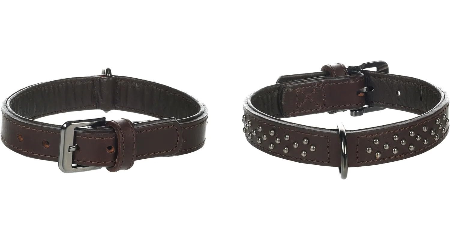 Flamingo Dog Collar with studs Denver Brown M 30-38cm 30mm