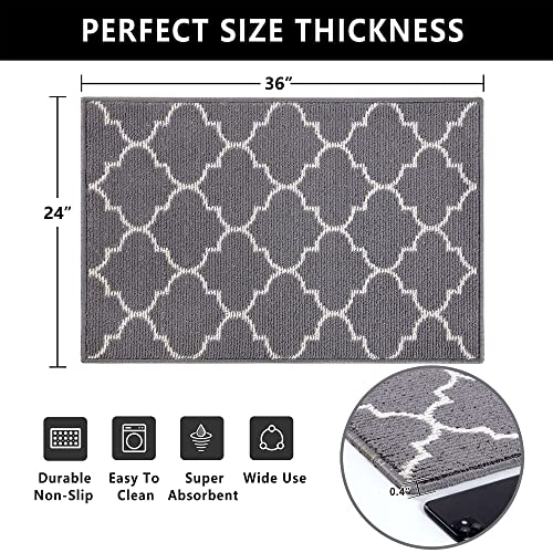 Refetone Indoor Doormat, Front Back Door Mat, 24X36, Non-Slip Absorbent Resist Dirt Door Mats, Machine Washable Low-Profile Inside Floor Mat Door Rugs For Entryway, Grey #TOP1