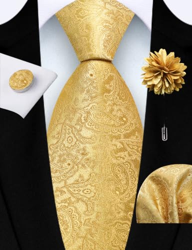 Image of GUSLESON Paisley Tie Set for Men 3.15 inch Necktie Lapel Pin Hankerchief Cufflinks Set for Men