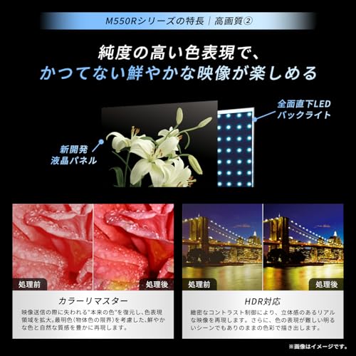 レグザ テレビ 43M550R