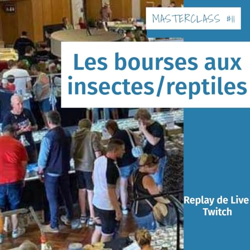 Masterclass terrariophiles #11 : Les bourses insectes/reptiles