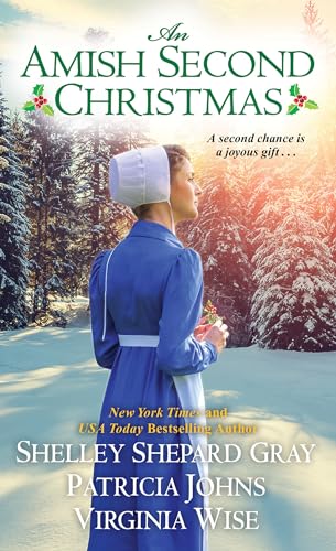 An Amish Second Christmas view 2