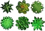 Cute Resin Succulent Refrigerator Magnets 6 Pieces for Home Kitchen Office Decorative
