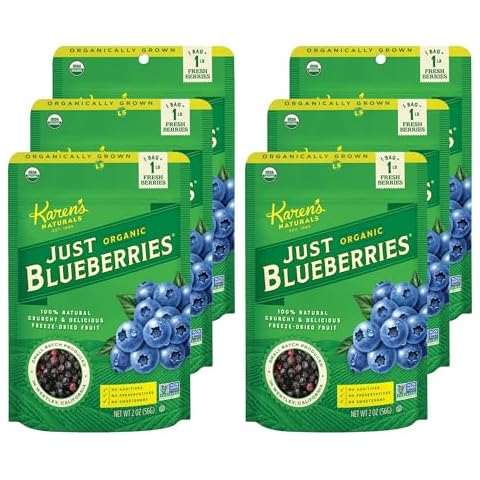 Karen's Naturals Organic Just Blueberries, 2 Ounce (Pack of 6) (Packaging May Vary) Organic All Natural Freeze-Dried Fruits & Vegetables, No Additives or Preservatives, Non-GMO Cover