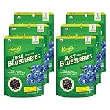 Karen's Naturals Organic Just Blueberries, 2 Ounce (Pack of 6) (Packaging May Vary) Organic All Natural Freeze-Dried Fruits & Vegetables, No Additives or Preservatives, Non-GMO