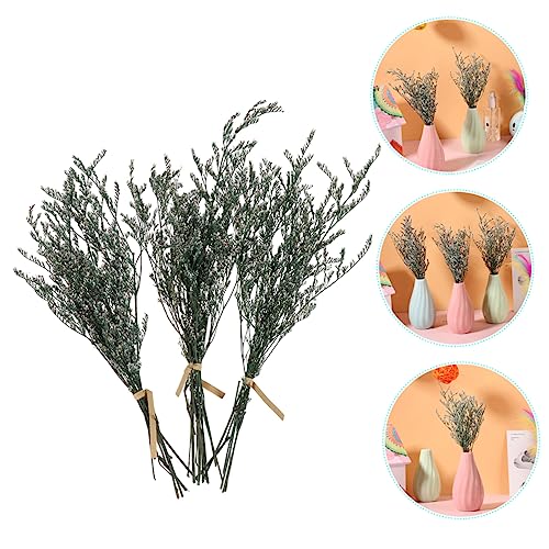 Ramo de Flores Secas Natural Gypsophila Set de 3 miniatura 6