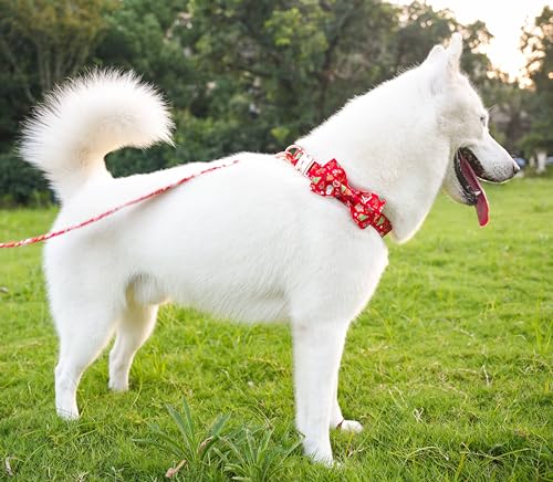 Image of Tunkoo Christmas Dog Collar with Elegant Bow Tie Soft Comfy Cotton Adjustable Collar, Premium Metal Buckle for Puppy and Cat Small Medium Large (Christmas C, M)