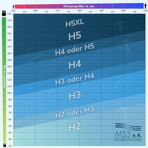 MSS e.K. Aqua Deluxe - 7 Zonen Wellness Kaltschaummatratze - 90 x 180 cm x 16 cm (Kernhöhe 14 cm) - Härtegrad H2 & H3 - Matratze Wendematratze Kaltschaum Oeko-TEX