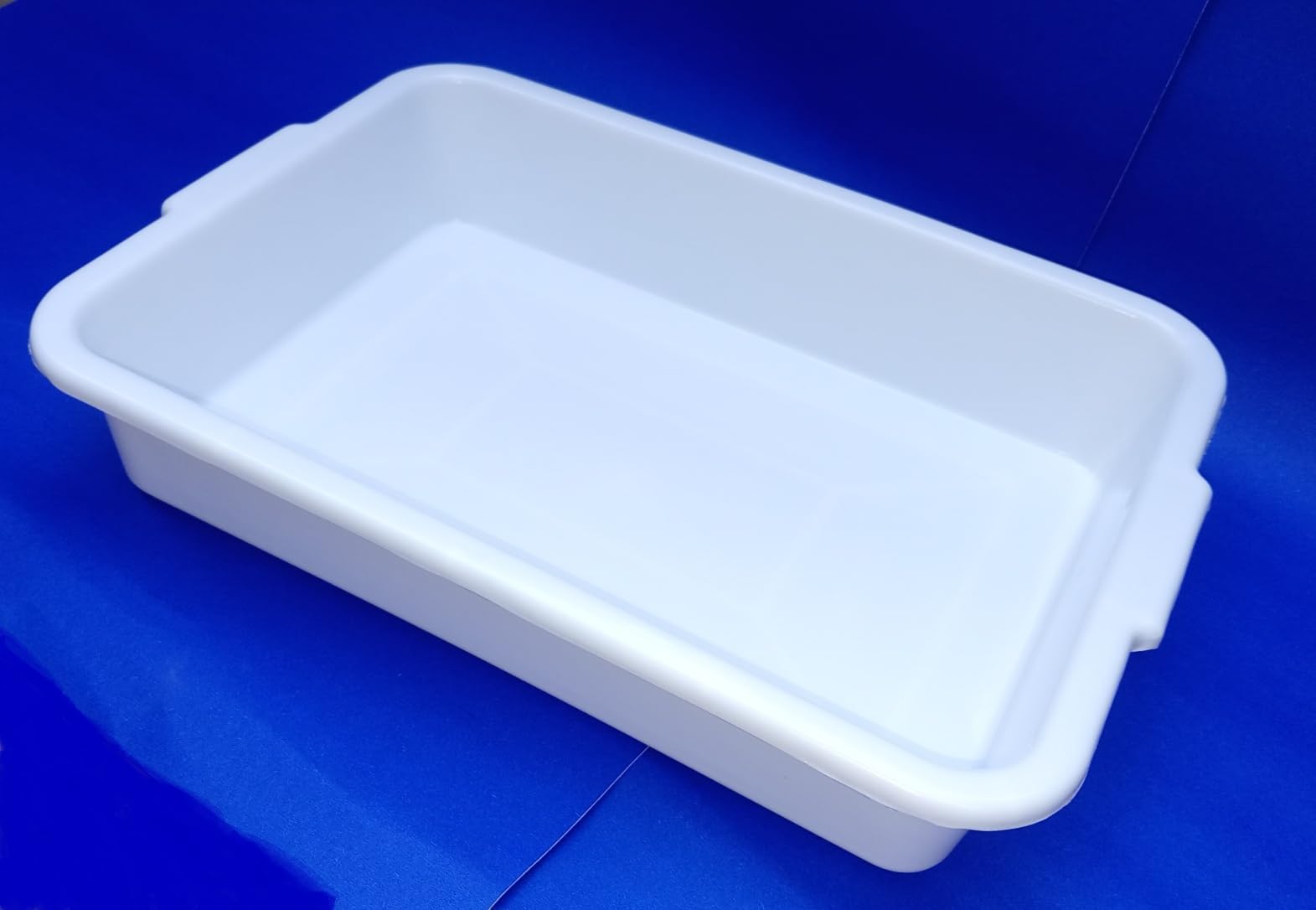 Plastic Surgical Tray (38 x 27 CM) White (Pack of 1)-image-11