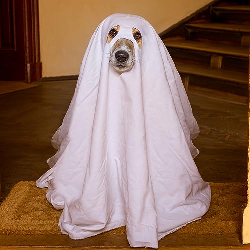 Disfraz de Fantasma para Perros Sweetude Halloween Talla Large miniatura 6