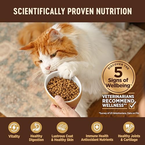 Image of Wellness CORE Adult Dry Cat Food, Natural, Grain Free Kibble, Turkey and Duck Recipe, 11 lb Bag