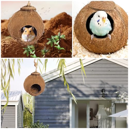 Gecko Coconut Husk Hut, Natural Coconut Shell Bird Nest Hanging Loop Reptile Hideouts Bird Hut Nesting House for Pet Parrot Leopard Gecko Reptiles - Image 7