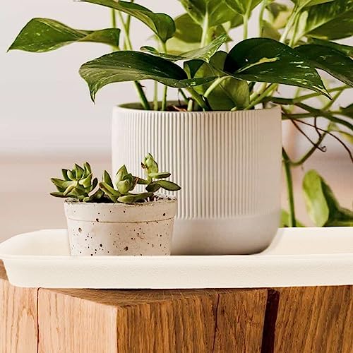 Cabilock Plant Drip Tray 6Pcs Rectangular Flower Box Saucer Plastic Plant Saucer Drip Tray Flower Pot Drip Tray For Window Sill Window Shelf Planter Pot Plant Plate #TOP5
