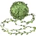 Whaline Artificial Vines 262 Feet Fake Simulation Foliage Leaf Hanging Plant Garland DIY Decorative Home Wall Garden Rustic Wedding Party Wreaths and Flower Decor