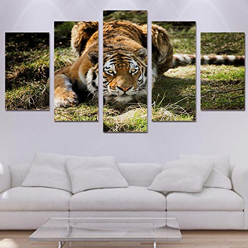 Lienzo de tigre modular de 5 paneles para decorar salones modernos 3