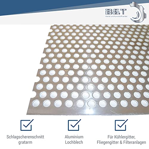 B&T Metall T metallo perforato lo strato di