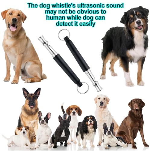 3 Stück Hundepfeife Rütter Rückruf, Hundepfeife Hochfrequenz Lautlos, Metall Hundepfeifen, Einstellbar Erziehungshilfen für Hunde, mit Lanyard für Hören Sie Auf Zu Bellen und Trainieren Sie Ihren Hund