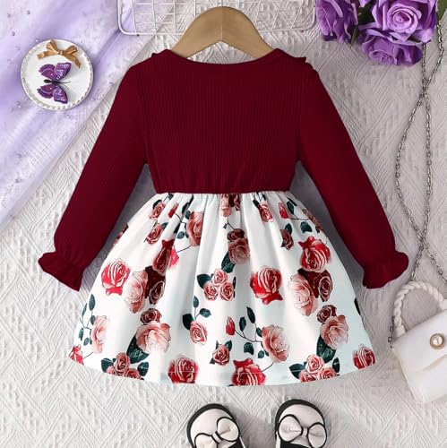 Image of Buy & Try Berry Lycra Girls Printed Frock, Full Sleeve, Soft Stretchable Fabric, Comfortable Party & Casual Wear Dress for Kids