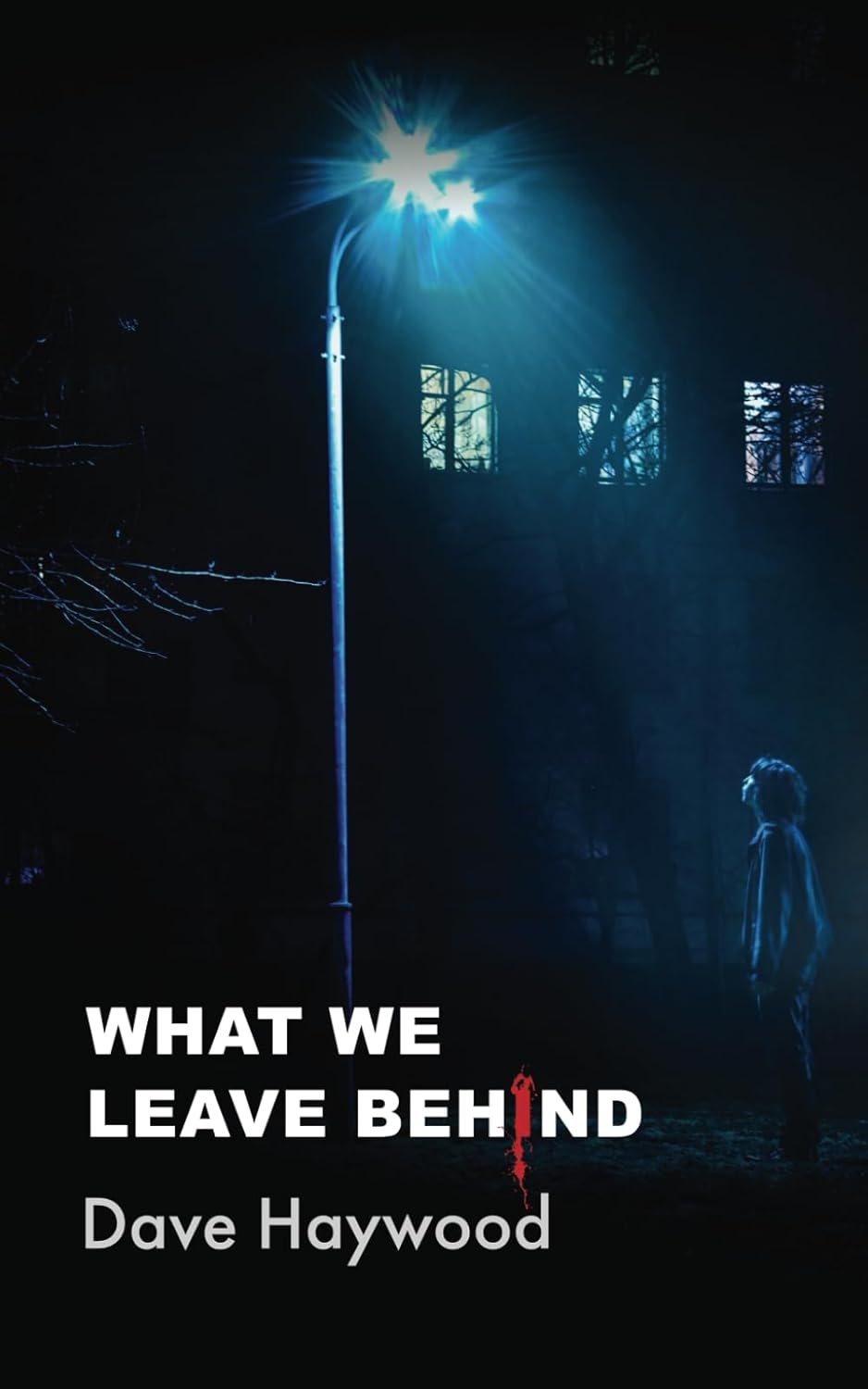 WHAT WE LEAVE BEHIND Amazon.co.uk Haywood, Dave 9781916776074 Books