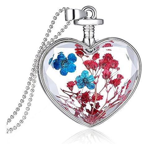 Feilok Classic Heart-Shaped Blue and Red Dried Flowers Transparent Crystal Women Chain Long Pendant Necklace… Cover