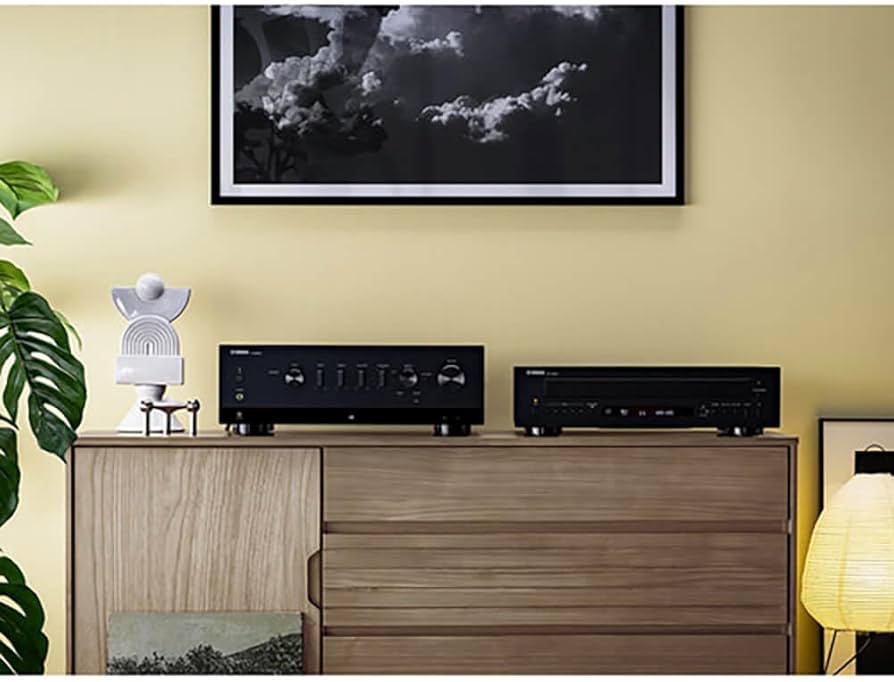 Amazon.com: Yamaha Audio Yamaha CD-C603 5-Disc CD Changer with USB