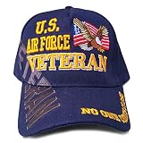 US Air Force Veteran Hat Blue w/Flag Eagle Logo