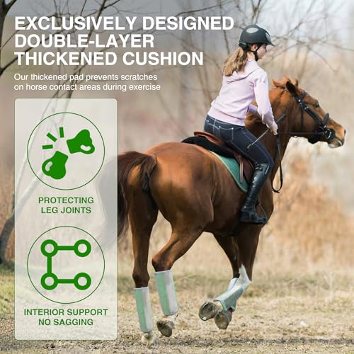 Image of Hilltown Fly Boots for Horses, Anti-Insect and UV-Permeable Fly Boots for Horses Set of 4 - Provide Your Horse with Maximum Protection During Training, Riding and Resting