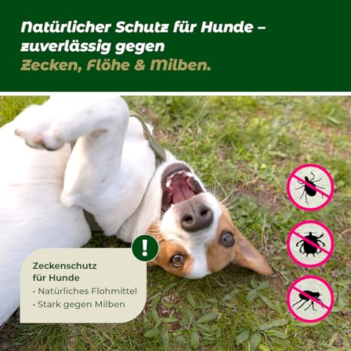 Zeckenöl Bio 250ml Premium & regional - aus Kokosbutter – Natürlicher Zeckenschutz Hund und Katze – Effektives pflanzliches Zeckenmittel & Flohmittel - Aura vom Land