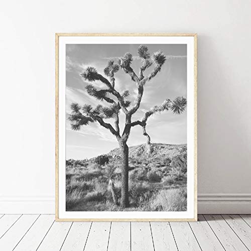 Toile Joshua Tree poster désert noir et blanc impression murale