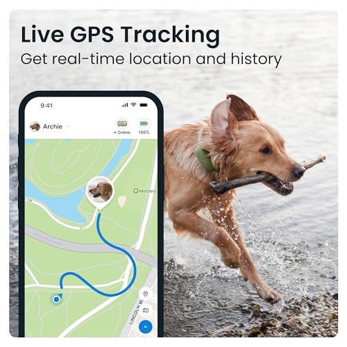 Tractive TG4XL Xl Gps Tracker & Health Monitoring For Dogs thumb #1
