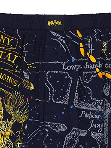 Harry Potter Hogwarts Houses Men's Briefly Stated Boxer Shorts Underwear3