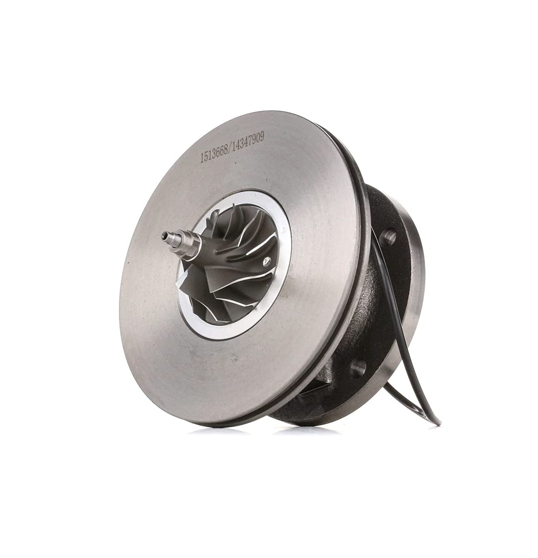 RIDEX 4973C0024 Coreassy turbina con guarnizione Compatibilità con PEUGEOT 206 2 volumi/Coda spiovente 2A/C