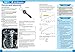 Letts GCSE 9-1 Revision Success – GCSE Physics In a Week (Collins GCSE Grade 9-1 Revision)